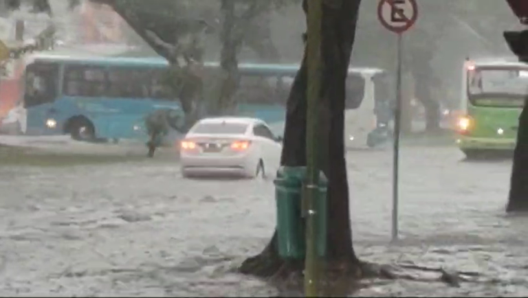 alagamentos e quedas de árvores em sjc