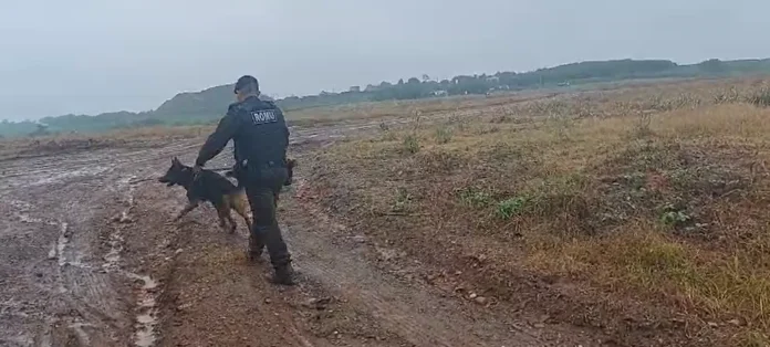 Captura de tela 2024-03-28 204816