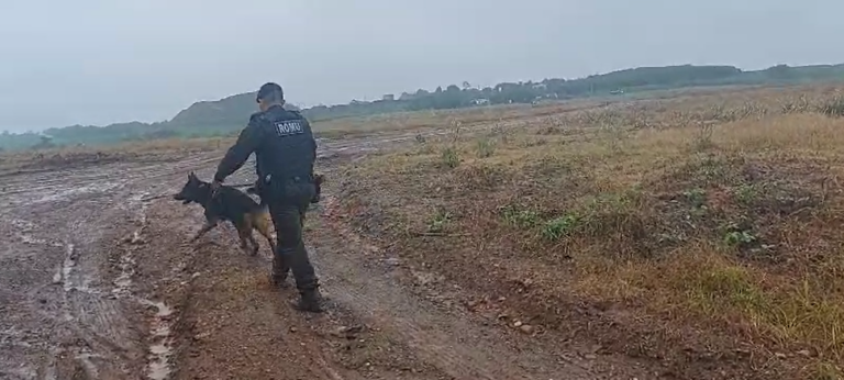 Polícia Civil realiza buscas por diretor de escola que está desaparecido
