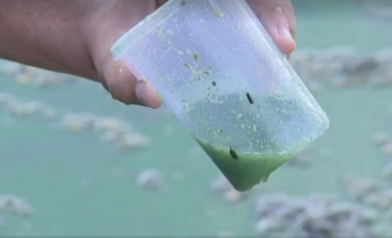 Ribeirão Bonito apresenta alterações de cor, odor e textura da água