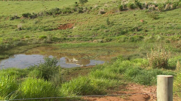 Corpo de mulher morta é encontrado dentro de lago; morte é um enigma