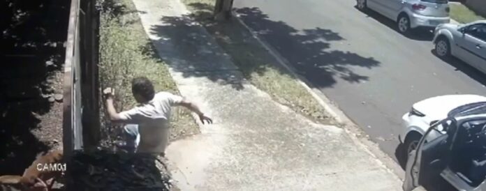 Homem agride cãozinho e chuta portão de residência no interior de SP