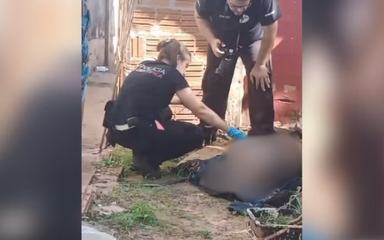 Polícia investiga brutal morte de pit bull a golpes de garfo em Votuporanga