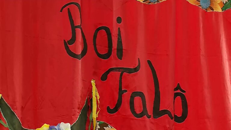 Festa tradicional Campineira Boi Falô acontece em Barão Geraldo