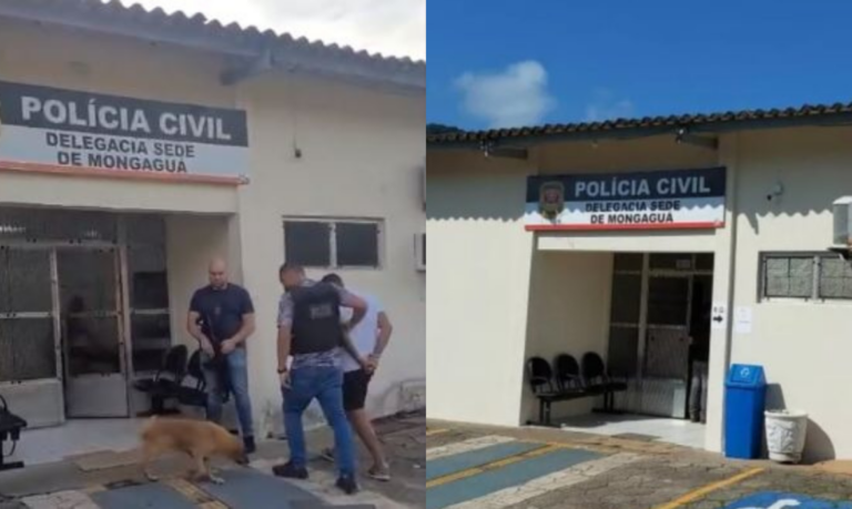 Homem que participou de roubos de mercadorias é preso em Praia Grande