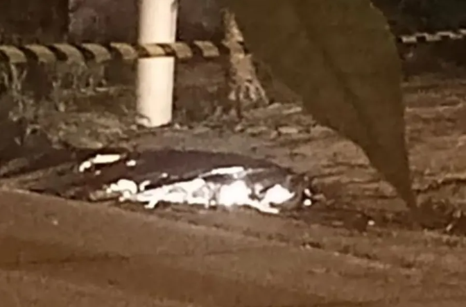 Briga de vizinhos termina com homem morto em Itanhaém