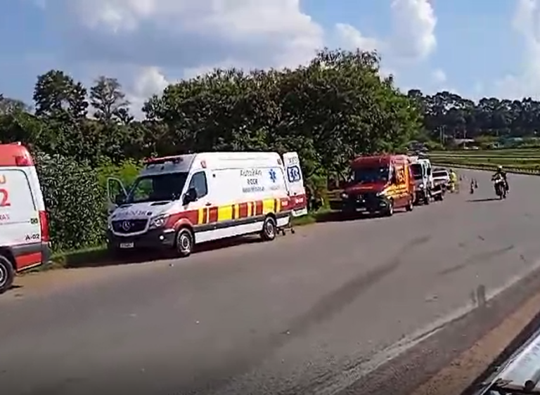 Após colidir em árvore, motorista morre na Santos Dumont