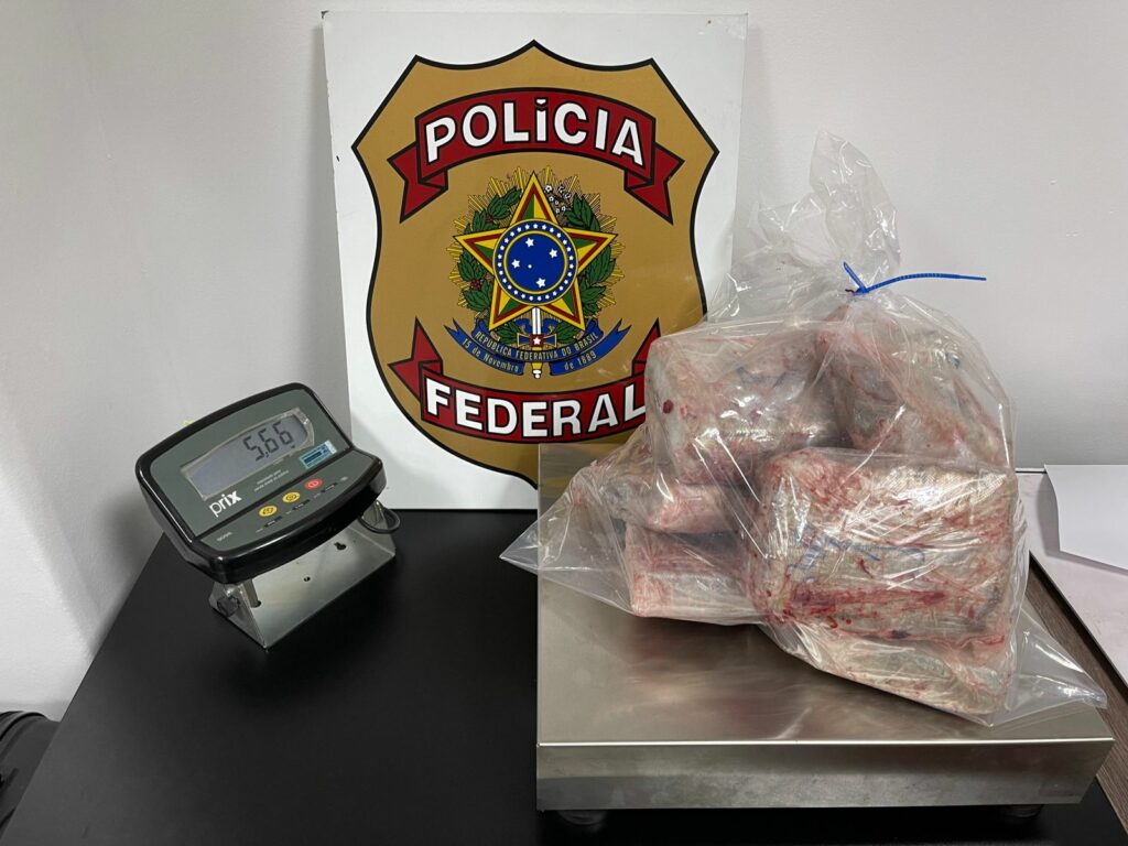Polícia Federal prende passageira transportando 5,6kg de skunk dentro de peixes congelados
