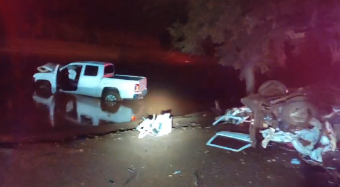 Reprodução Reprodução