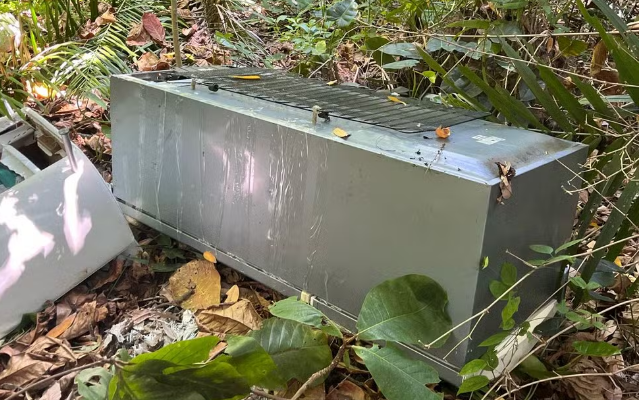 Adolescente de 13 anos teria imobilizado a mãe para namorado matá-la, diz polícia