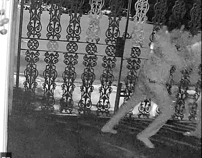 Influenciador digital invade casa e esfaqueia ex-namorada no interior de SP