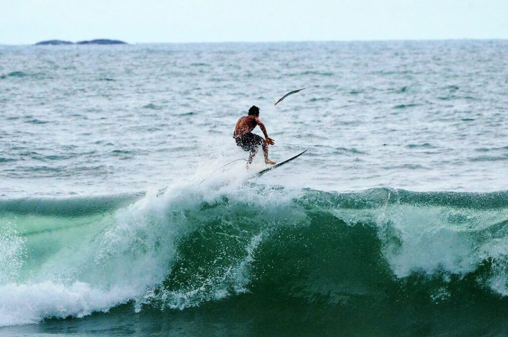fotógrafo registra momento raro de surfista pegando peixe com a mão durante onda em ubatuba