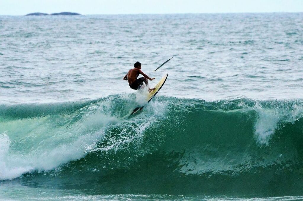 fotógrafo registra momento raro de surfista pegando peixe com a mão durante onda em ubatuba