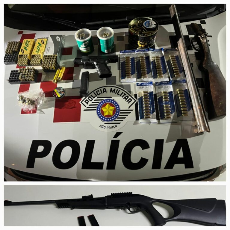 Polícia encontra armamento ao atender denúncia de violência doméstica