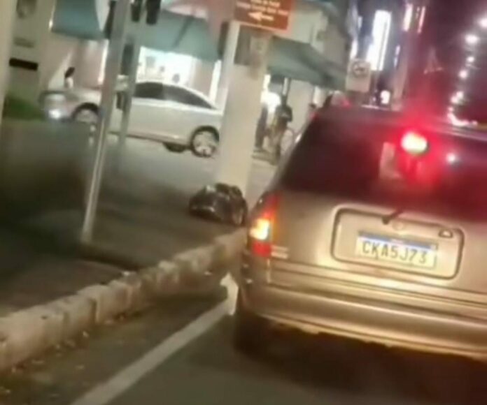 Gato é jogado de carro em rua de Jacareí; assista