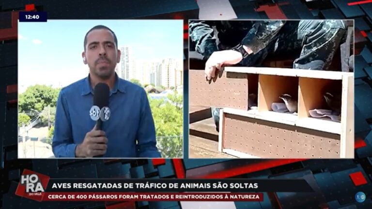 PM solta 400 aves regatadas de cativeiros no interior de SP