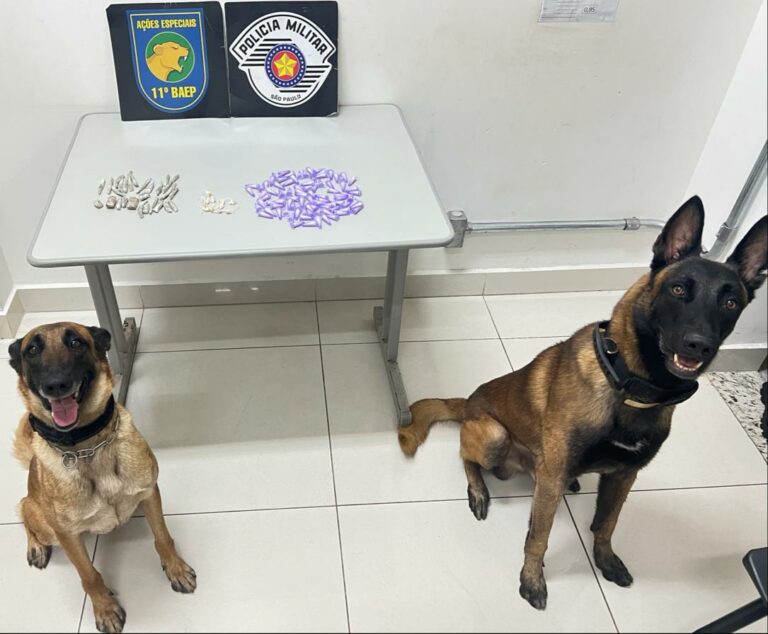 Adolescente de 16 anos é detido ao traficar cocaína, maconha e crack