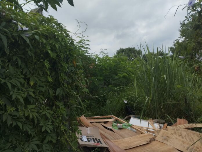 Terreno abandonado em São José gera possíveis focos de dengue
