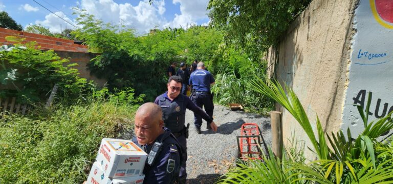 Guarda Municipal recupera carga de bebidas roubada na manhã desta quarta-feira