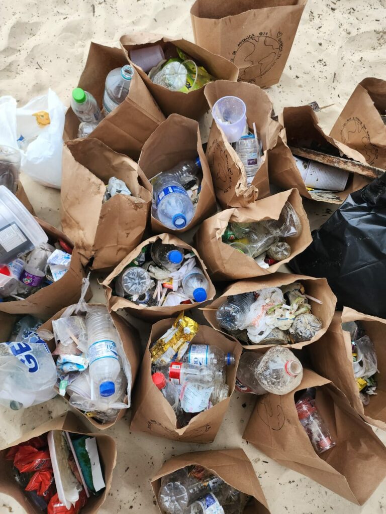 Projeto da Baixada Santista realiza primeiro mutirão de limpeza na praia de São Vicente