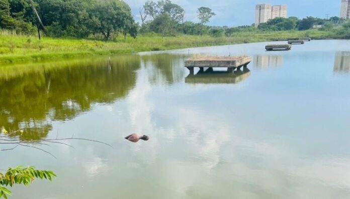 WhatsApp Image 2024-03-19 at 08.13.24