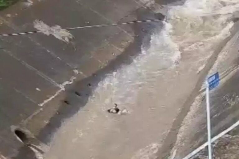 VÍDEO: Professor de 41 anos é arrastado por correnteza após forte chuva