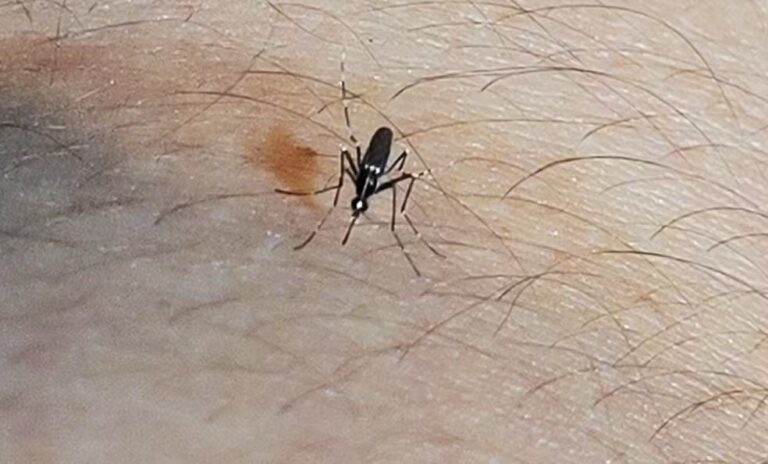 Votuporanga confirma a terceira morte por dengue neste ano, segundo prefeitura