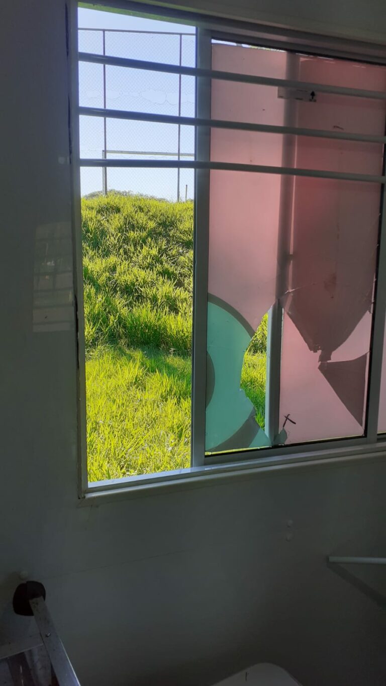 Clínica veterinária móvel tem atendimento suspenso após furto