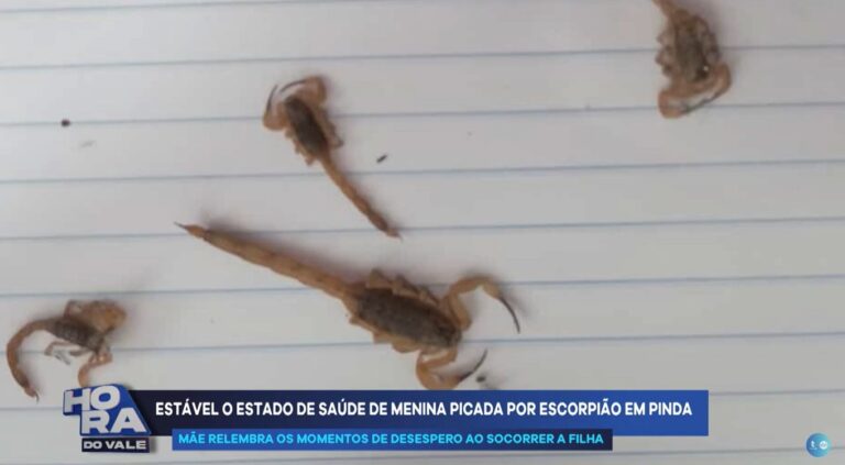 Bebê é picada por escorpião e fica internada em Pinda
