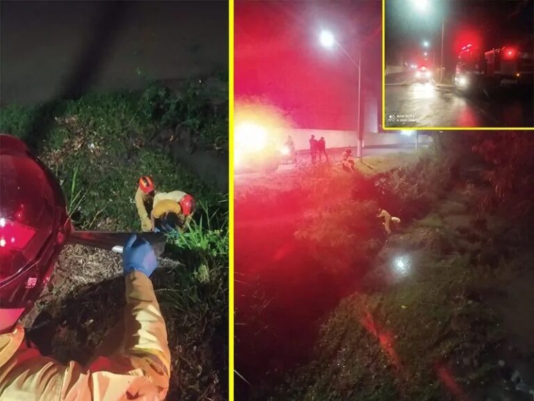 Supostamente embriagado, jovem de 25 anos briga com a esposa, pula em rio e é socorrido por bombeiros