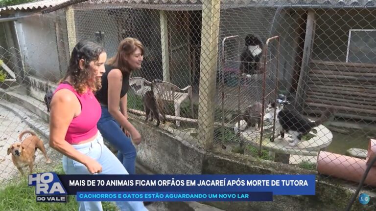 Tutora morre e deixa 70 cães e gatos estão sem lar em Jacareí
