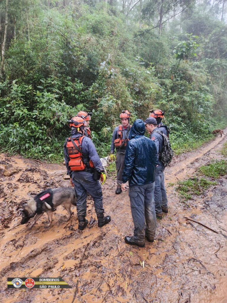 romeiro desaparecido piquete