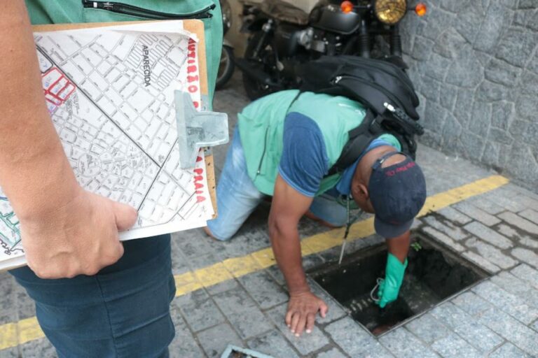 Denúncias sobre possíveis focos de dengue aumentam 195% em Santos