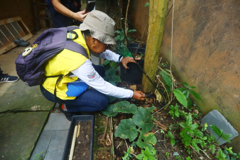 São José decreta estado de emergência contra dengue