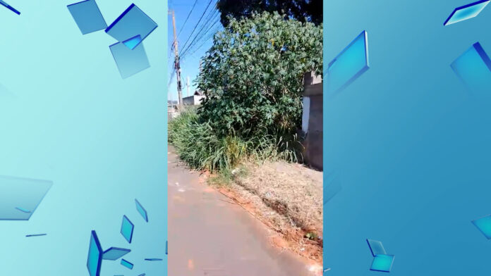 Área abandonada fica entre duas casas no Parque Gabriel, em Hortolândia.