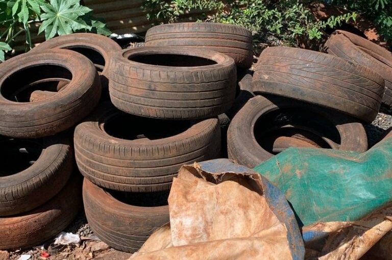 Mutirão recolhe quase 6 mil toneladas de possíveis criadouros do Aedes aegypti