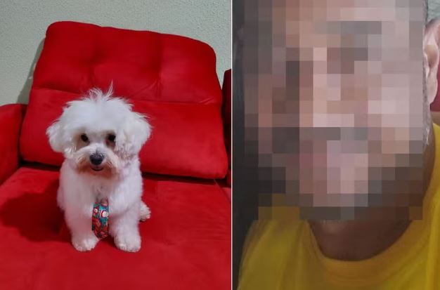 PM aposentado invade casa de ex-mulher e leva até o cachorro; Descumpriu medida protetiva