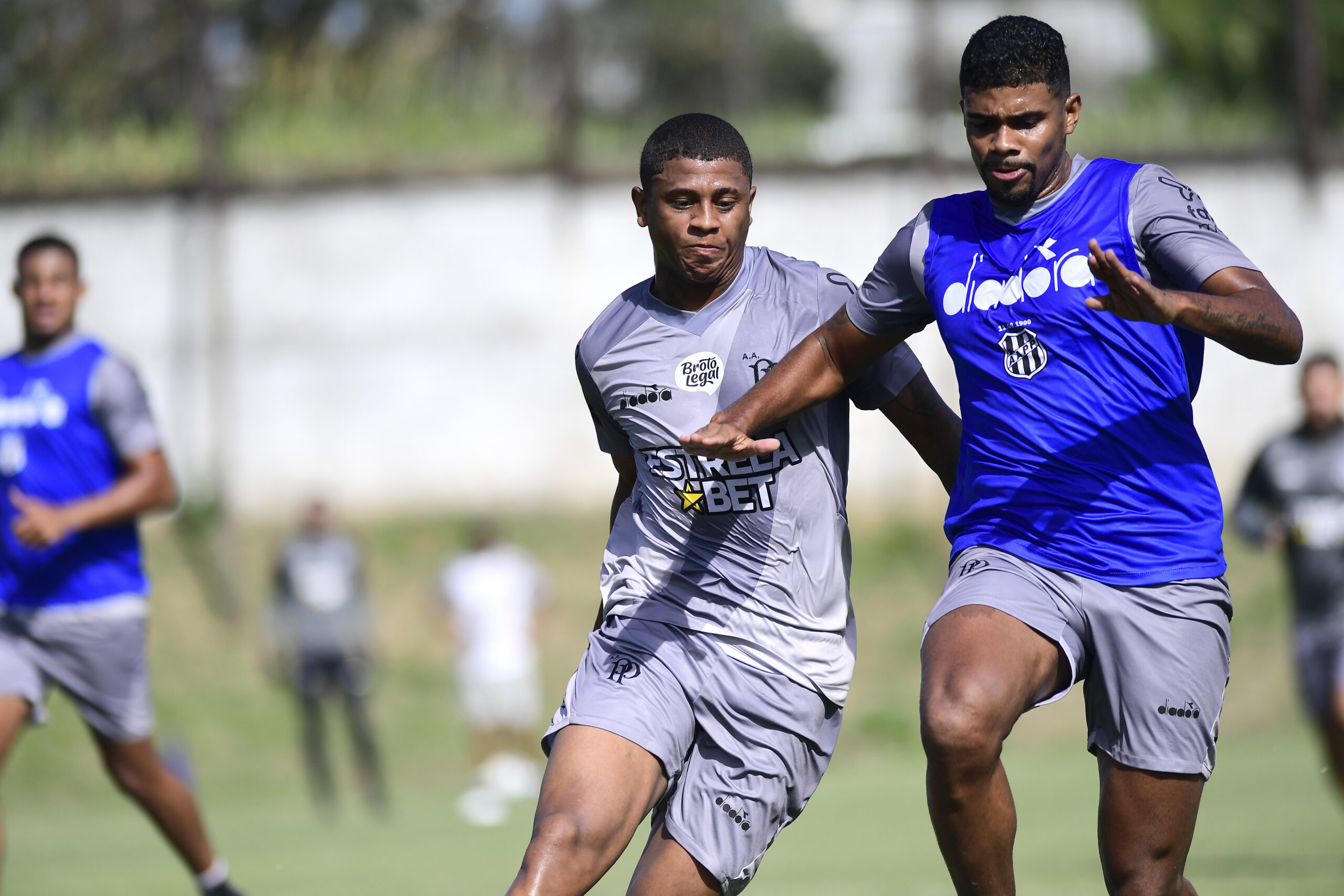 Décima contratação da Ponte Preta, Guilherme Beléa, (de cinza) já está disponível para a estreia. Foto: Marcos Ribolli/PontePress.
