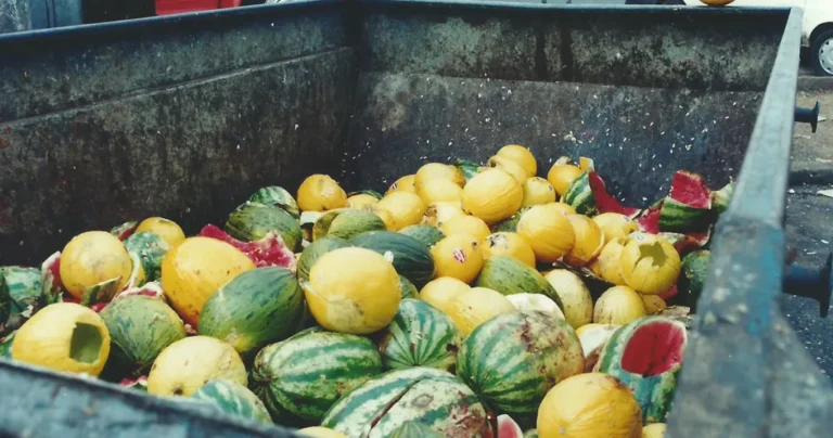Mais de um bilhão de refeições são desperdiçadas todos os dias no mundo