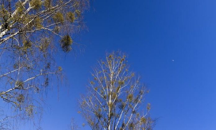 previsão do tempo abril