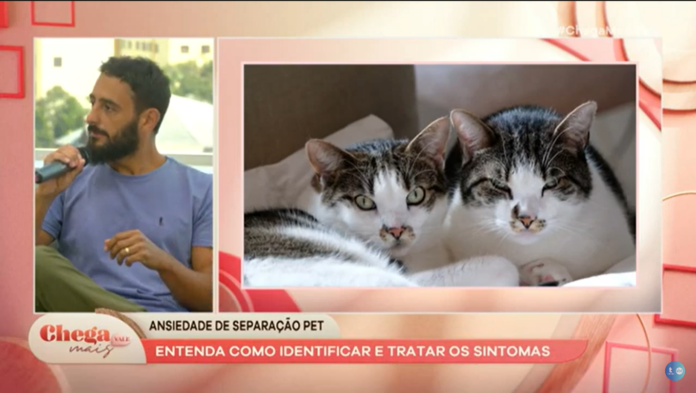 Aprenda a identificar a ansiedade da separação nos pets