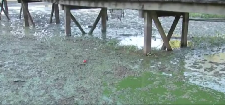 Água do Rio Tietê em Glicério volta a apresentar coloração verde e odor forte