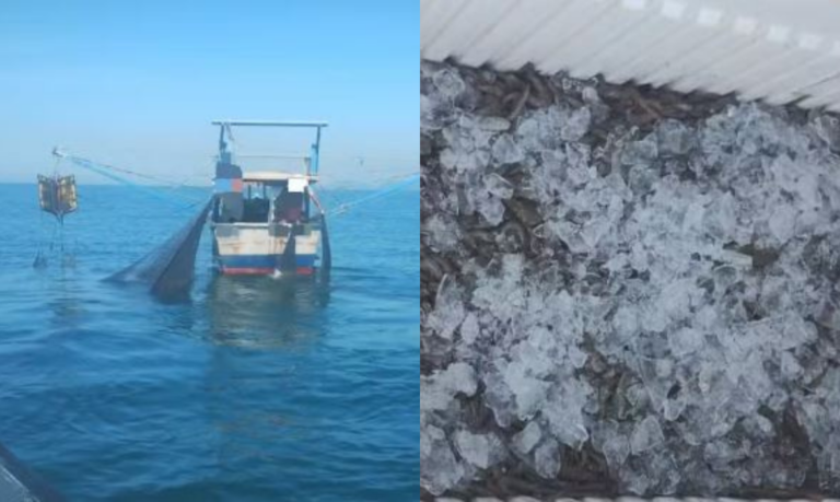 PM Ambiental multa pescadores em R$ 12 mil reais por prática em época proibida