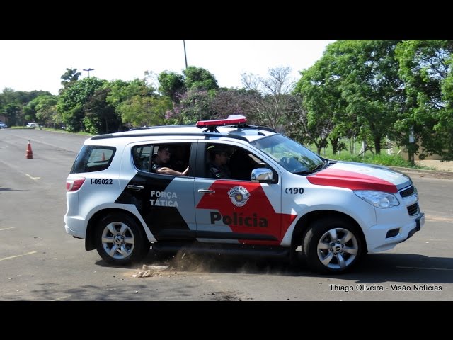 Ao alimentar um cachorro, mulher de 60 anos foi supostamente morta pelo próprio cão