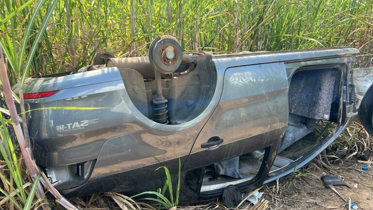 Polícia flagra desmanche e encontra mais de 30 carros roubados