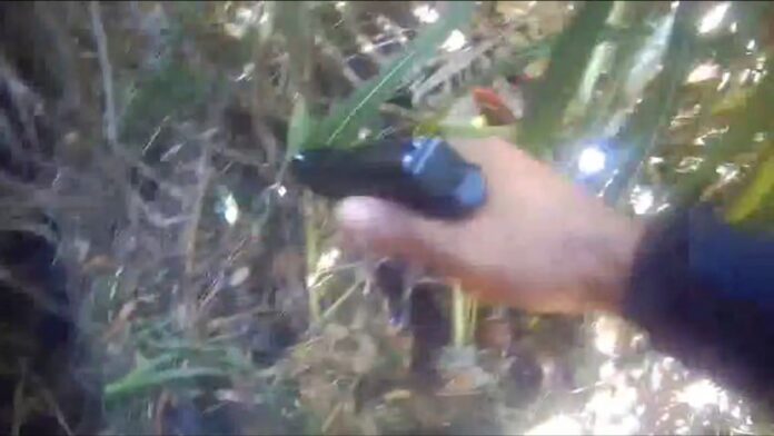 Homem é preso pela GCM com sacola cheia de drogas Homem é preso pela GCM com sacola cheia de drogas