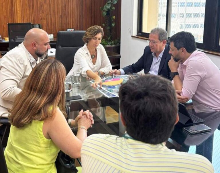 Prefeito de Birigui promove reunião para discutir implantação de Hospital Estadual Regional