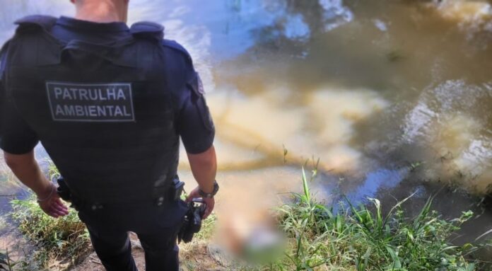 Corpo de homem com marcas de tiros é encontrado em rio no interior de SP