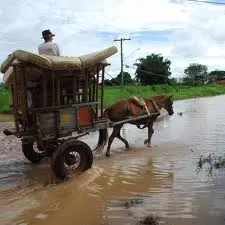 Enchentes de Araçatuba: retirar última pedra