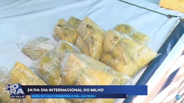 Dia do Milho: grão versátil é base para desenvolvimento financeiro